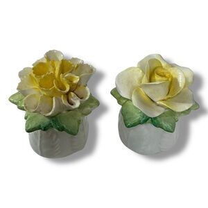 Aynsley Yellow Green & White Flower Rose Carnation Salt and Pepper Shakers